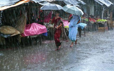 ఏపీకి బిగ్ అలర్ట్… దంచి కొడుతున్న వానలు.. దూసుకొస్తున్న వాయుగుండం… 6 జిల్లాలకు రెడ్ అలర్ట్!