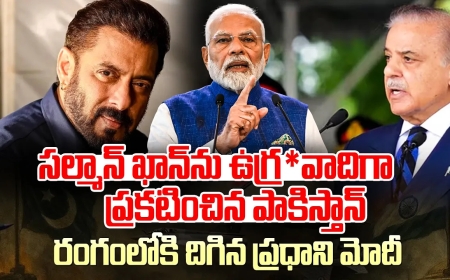 సల్మాన్ ఖాన్ ను ఉగ్ర*వాదిగా ప్రకటించిన పాకిస్తాన్…రంగంలోకి దిగిన ప్రధాని మోదీ