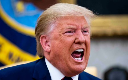 "అందరూ ఫ్లోరిడా పారిపోండి!" - న్యూయార్క్ ప్రజలకు ట్రంప్ సంచలన హెచ్చరిక