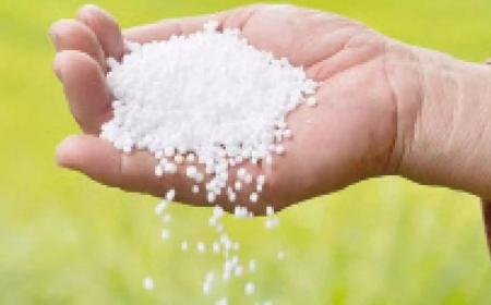 రైతన్నలకు బంపర్ న్యూస్! యూరియా కష్టాలకు ఫుల్ స్టాప్.. కేంద్రం సంచలన నిర్ణయం